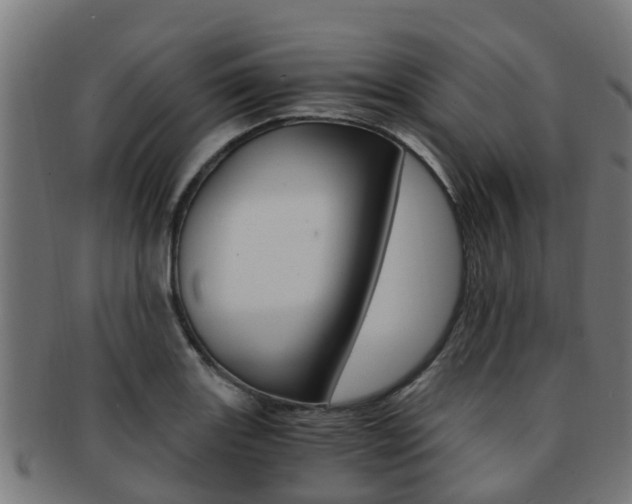 X0000092001131200709061235