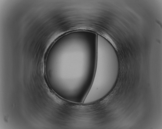 X0000092001132200709061235