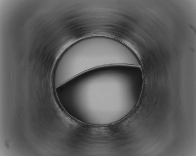 X0000092001133200709061235