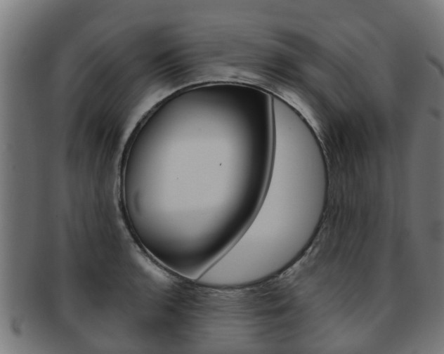 X0000092001136200709061235
