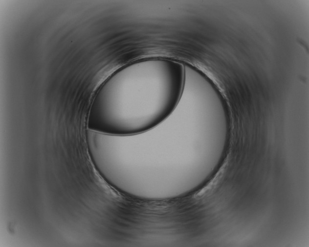 X0000092001137200709061235