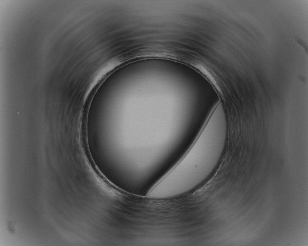 X0000092001139200709061235