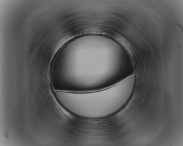 X0000092001141200709061235