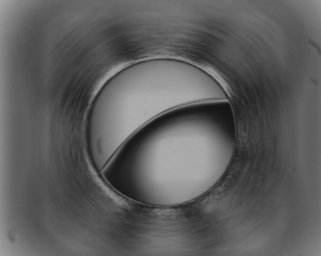 X0000092001142200709061235