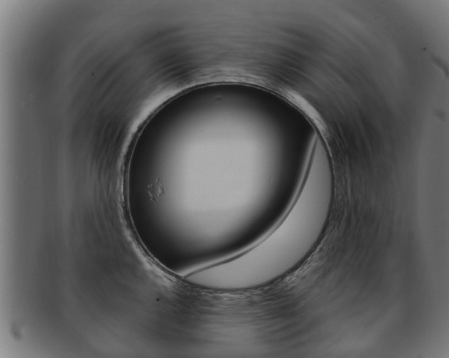 X0000092001144200709061235
