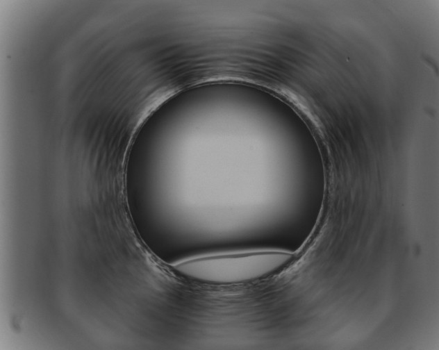 X0000092001145200709061235