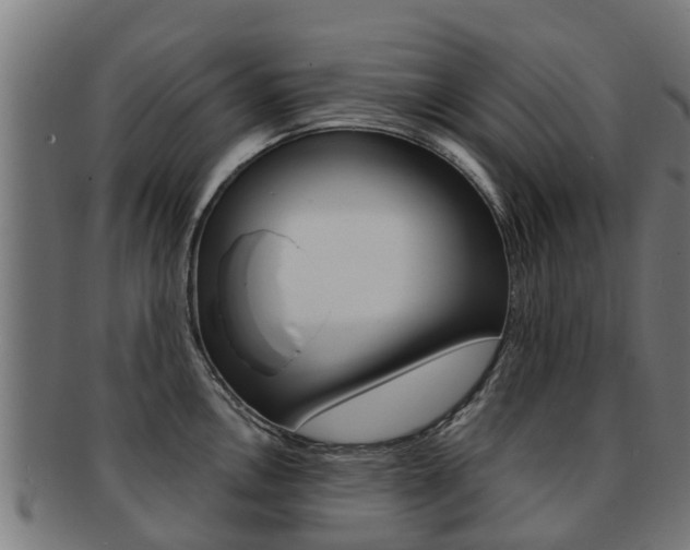 X0000092001146200709061235