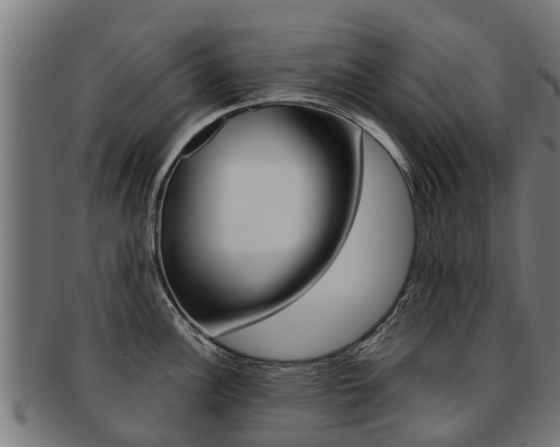X0000092001148200709061235