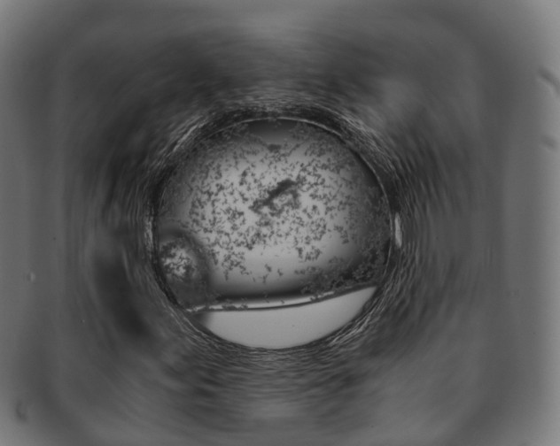 X0000092001155200709061235