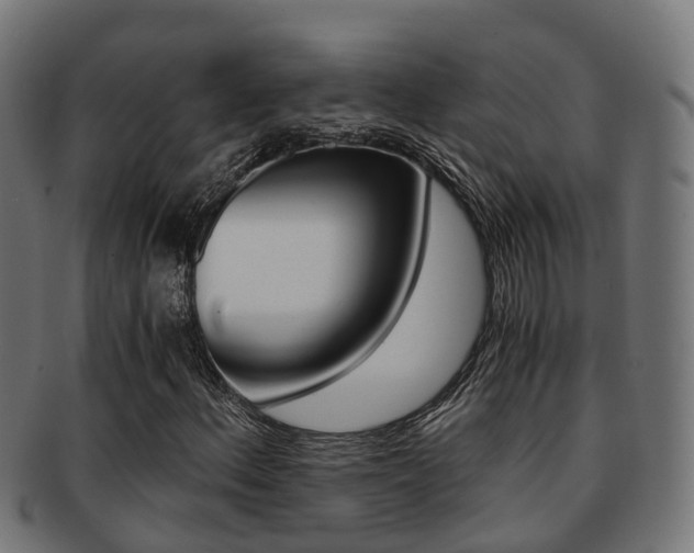 X0000092001156200709061235