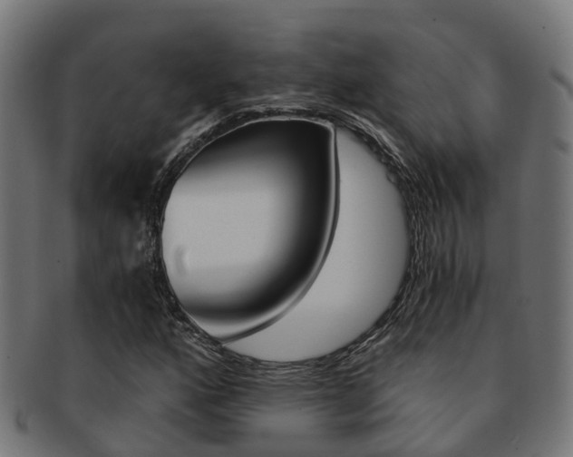 X0000092001160200709061235