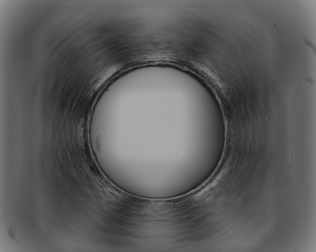 X0000092001162200709061234