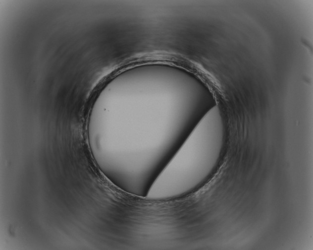 X0000092001166200709061234