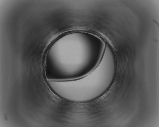 X0000092001168200709061234