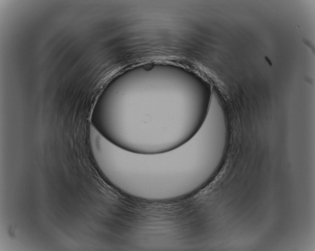 X0000092001169200709061234