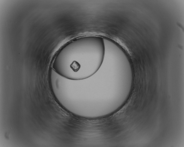 X0000092001173200709061234
