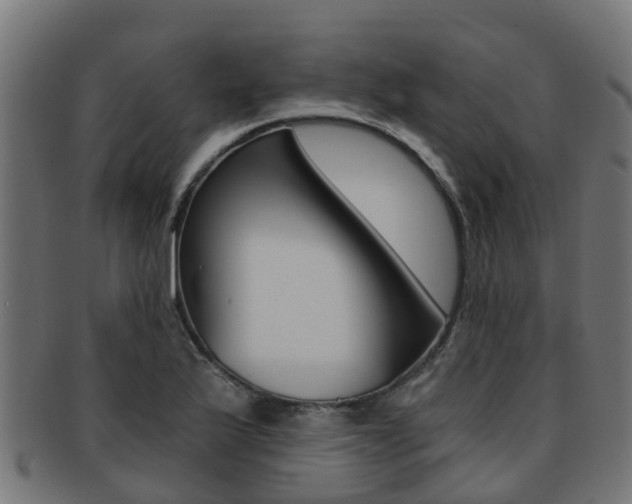 X0000092001175200709061234