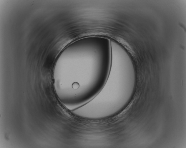 X0000092001177200709061234