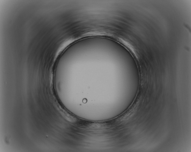X0000092001179200709061234
