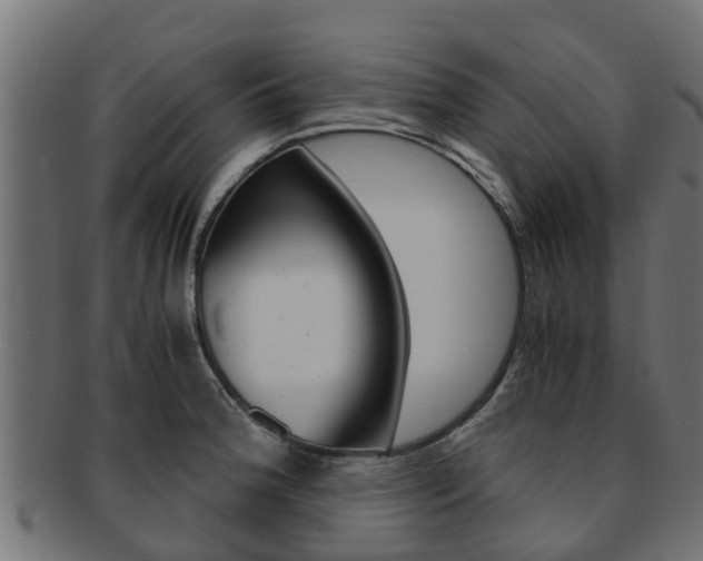 X0000092001188200709061234