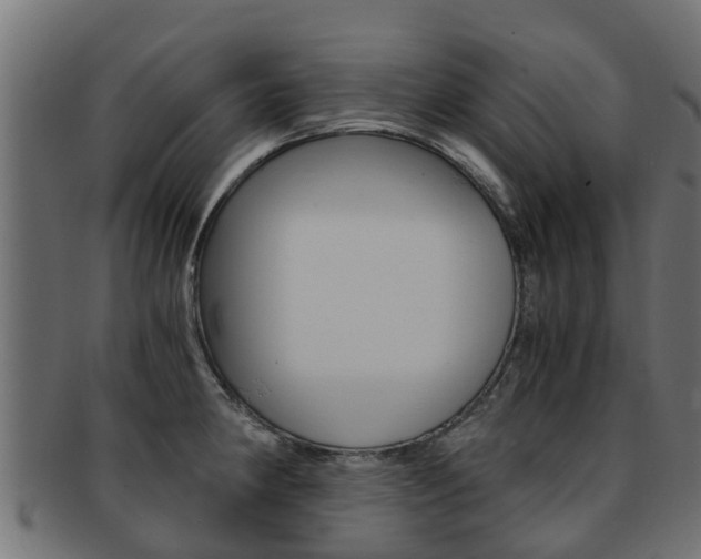X0000092001190200709061234