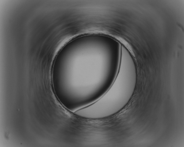 X0000092001191200709061234