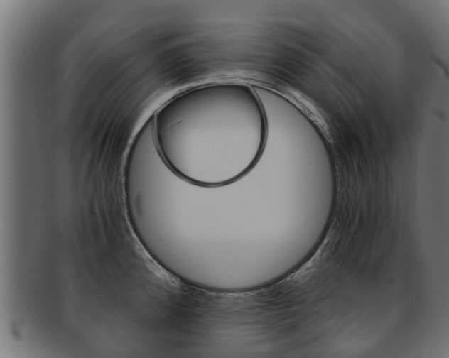X0000092001192200709061234