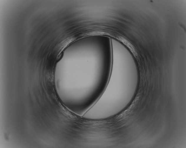 X0000092001193200709061234