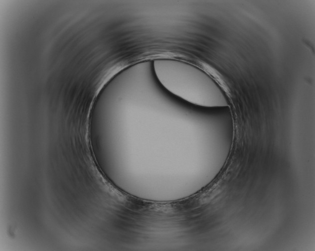 X0000092001194200709061234