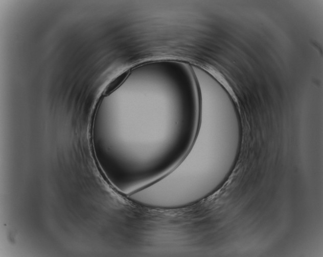 X0000092001197200709061234