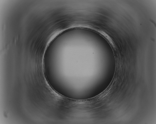X0000092001199200709061234
