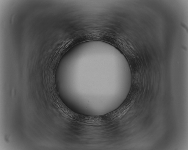 X0000092001201200709061233