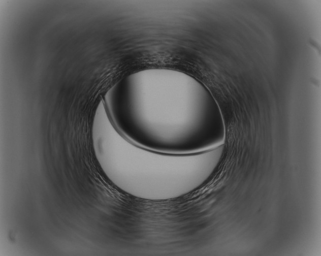 X0000092001202200709061233