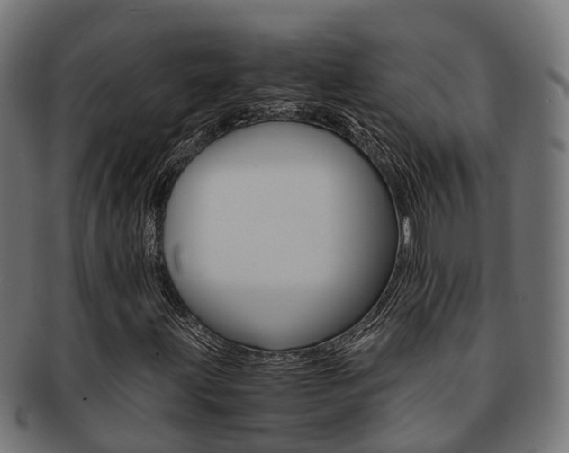 X0000092001203200709061234