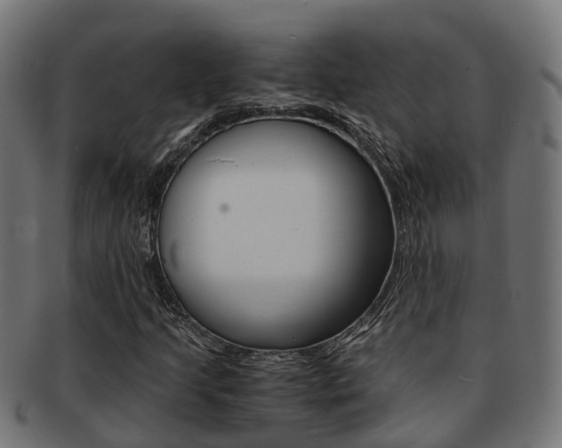 X0000092001205200709061234