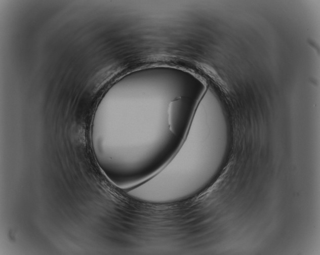 X0000092001209200709061234
