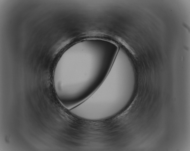 X0000092001213200709061234