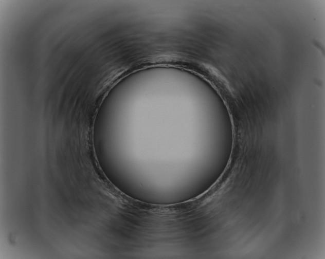 X0000092001217200709061234