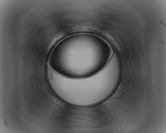 X0000092001218200709061234