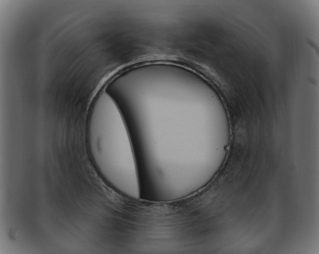 X0000092001220200709061234