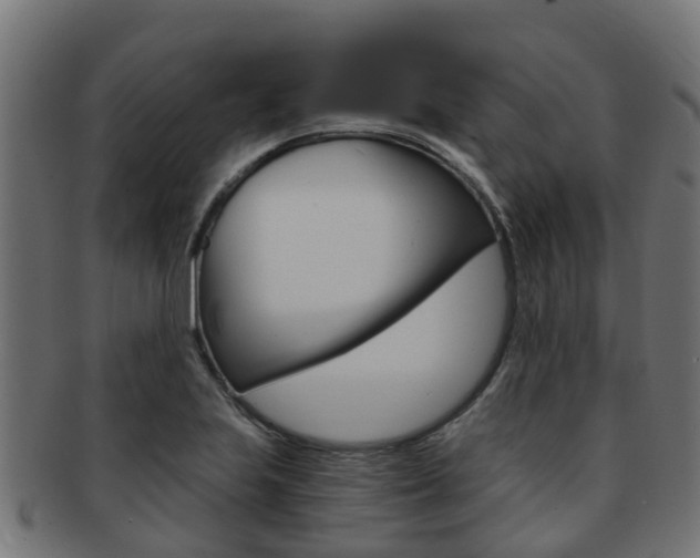 X0000092001223200709061234