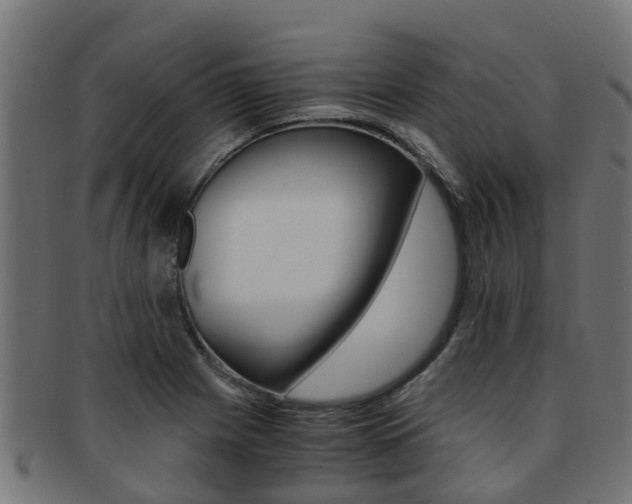 X0000092001225200709061234