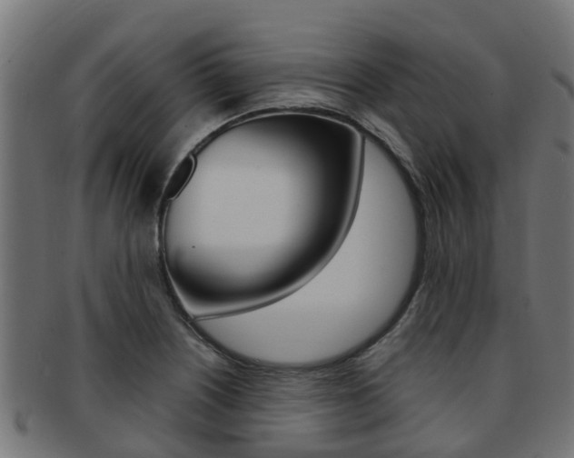X0000092001226200709061234