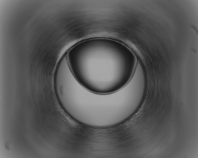 X0000092001230200709061234