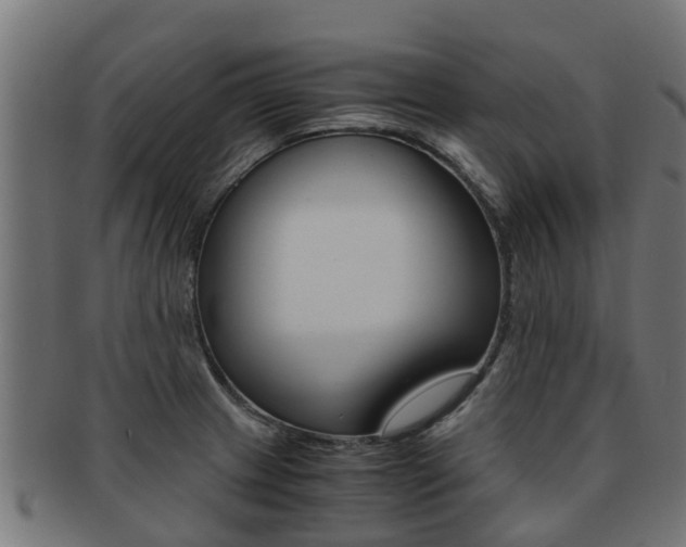 X0000092001233200709061234
