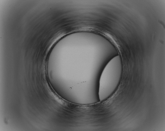 X0000092001235200709061234