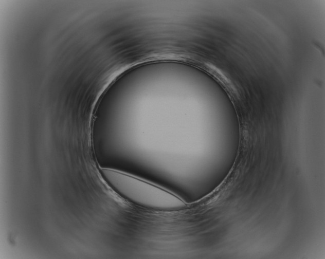 X0000092001236200709061234