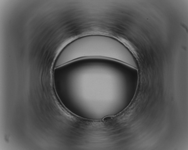 X0000092001238200709061234