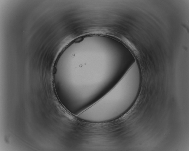 X0000092001240200709061234