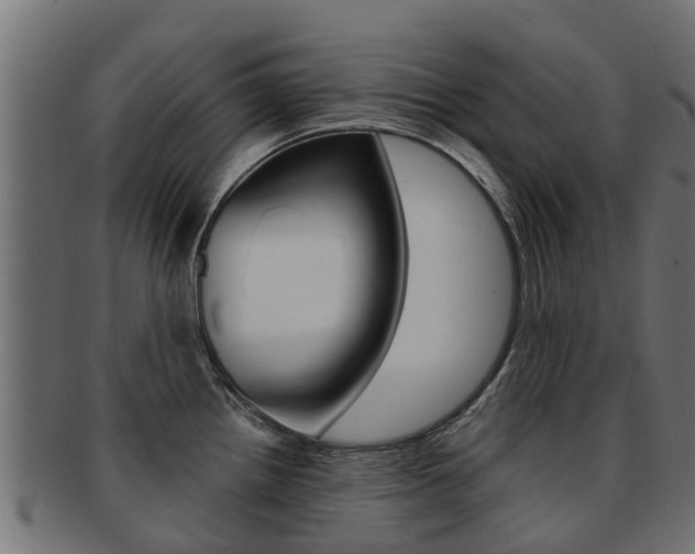 X0000092001242200709061234